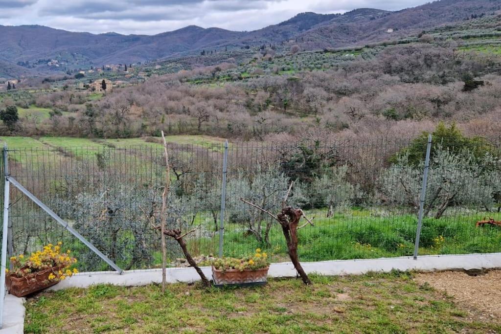Petreto Il Giardino Dei Limoni Apartment Castiglion Fiorentino Exterior foto